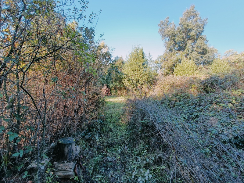 Tipologia Immobile: rustico/casale Provincia: roma Comune: ardea Località: montagnano Indirizzo: Via San Pastore