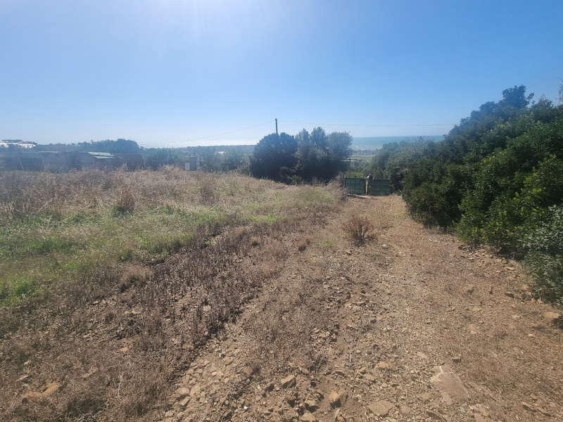 Tipologia Immobile: terreno agricolo Provincia: roma Comune: santa marinella Località: prato del mare Indirizzo: Strada della Rimessa della Guardiola