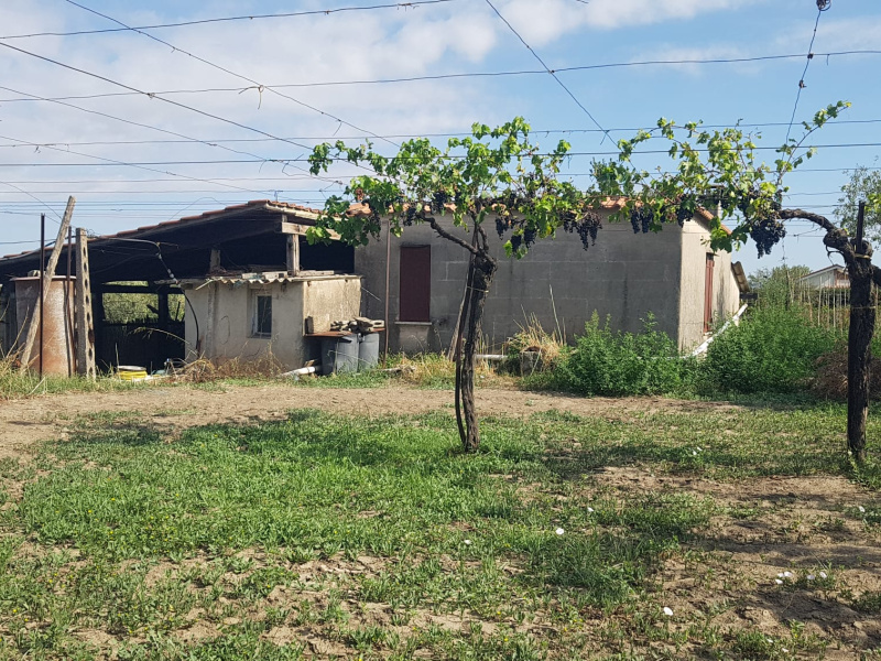 Tipologia Immobile: terreno agricolo Provincia: roma Comune: marino Località: spinabella Indirizzo: Via Coste di Costarotonda e Campofattore