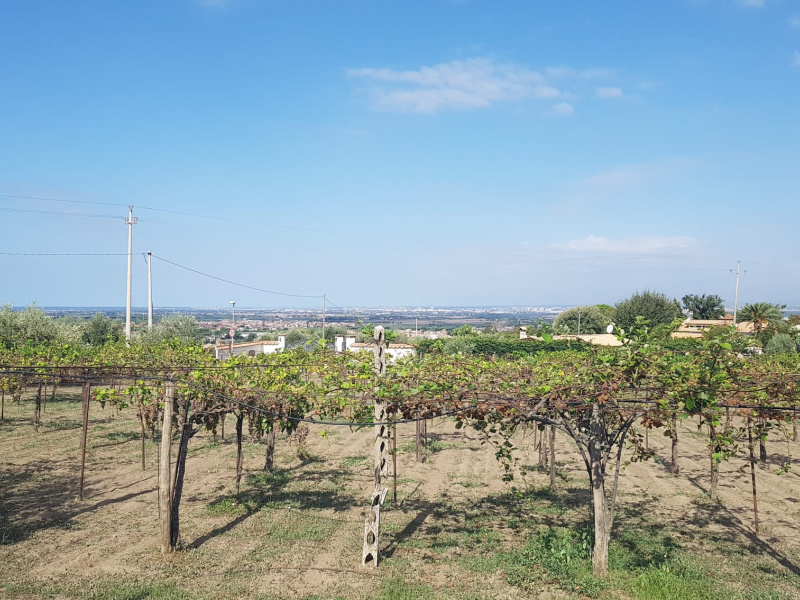 Tipologia Immobile: terreno agricolo Provincia: roma Comune: marino Località: spinabella Indirizzo: Via Coste di Costarotonda e Campofattore