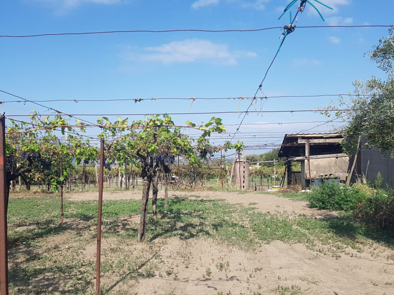 Tipologia Immobile: terreno agricolo Provincia: roma Comune: marino Località: spinabella Indirizzo: Via Coste di Costarotonda e Campofattore