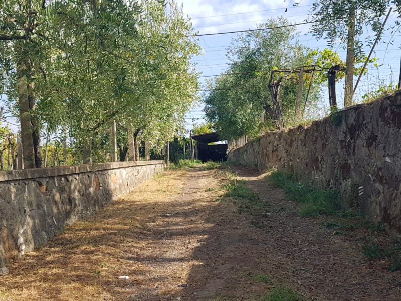 Tipologia Immobile: terreno agricolo Provincia: roma Comune: marino Località: spinabella Indirizzo: Via Coste di Costarotonda e Campofattore