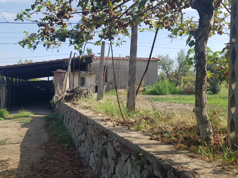 Tipologia Immobile: terreno agricolo Provincia: roma Comune: marino Località: spinabella Indirizzo: Via Coste di Costarotonda e Campofattore