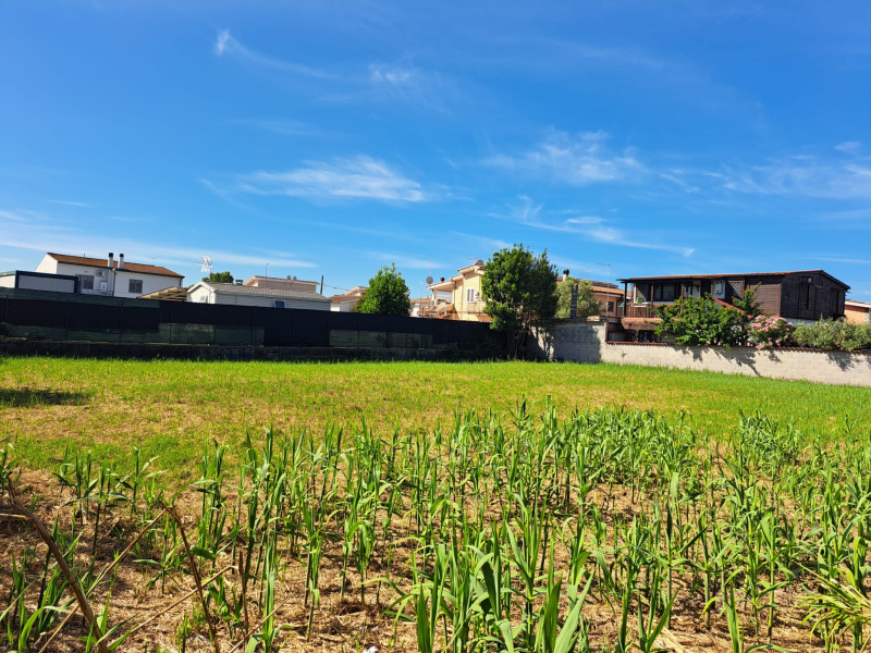 Tipologia Immobile: terreno agricolo Provincia: roma Comune: roma Località:  Indirizzo: Via Albino Bottesi