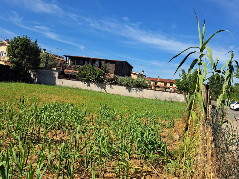 Tipologia Immobile: terreno agricolo Provincia: roma Comune: roma Località:  Indirizzo: Via Albino Bottesi