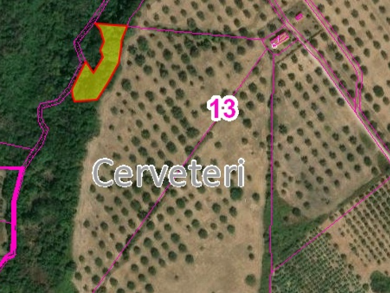 Tipologia Immobile: terreno agricolo Provincia: roma Comune: cerveteri Località: centro storico Indirizzo: Via Casale dell'Oliveto