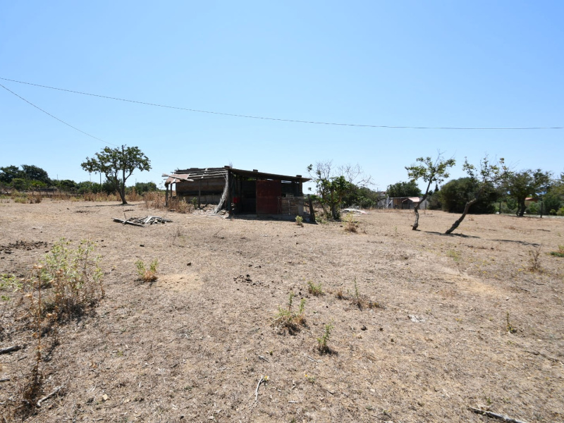 Tipologia Immobile: terreno agricolo Provincia: roma Comune: civitavecchia Località: campo dell'oro Indirizzo: Via Guastatori del Genio