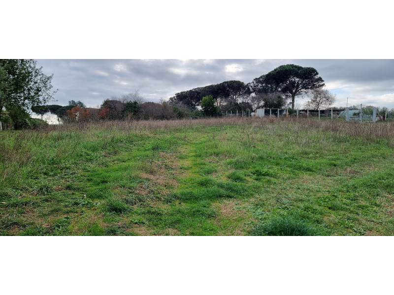 Tipologia Immobile: terreno agricolo Provincia: roma Comune: roma Località:  Indirizzo: Via di Boccea