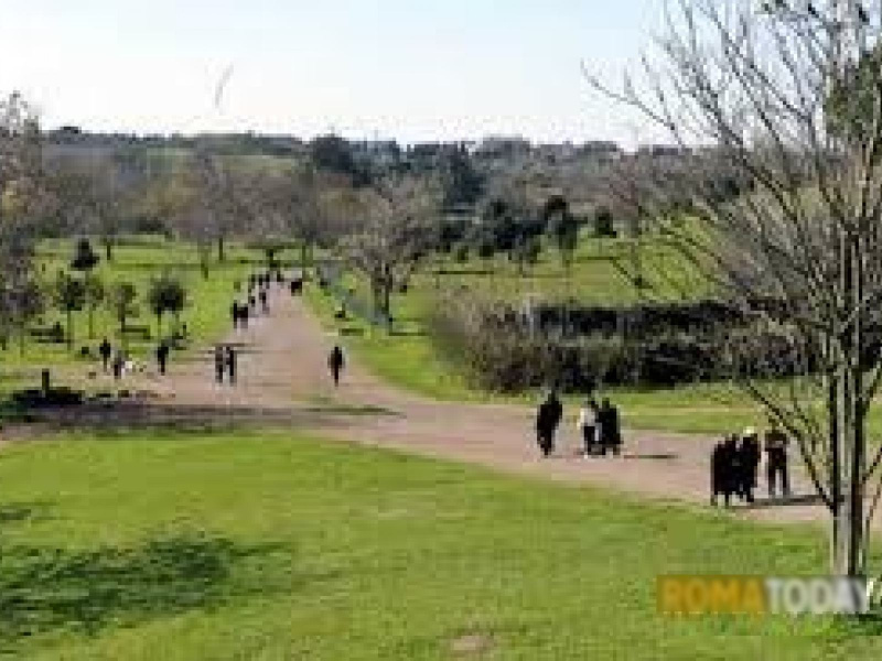 Tipologia Immobile: terreno edificabile Provincia: roma Comune: roma Località: castelverde Indirizzo: via campo imperatore