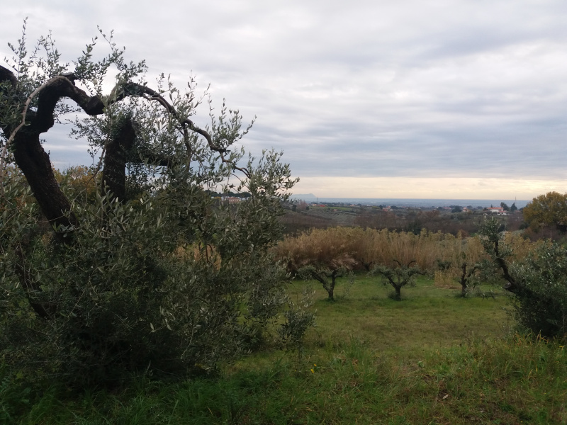 Tipologia Immobile: rustico/casale Provincia: roma Comune: genzano di roma Località:  Indirizzo: Via Montecagnolo