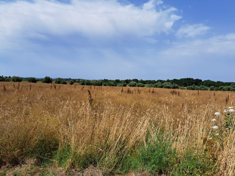 Tipologia Immobile: terreno agricolo Provincia: roma Comune: anguillara sabazia Località:  Indirizzo: Via Casal Sant'Angelo