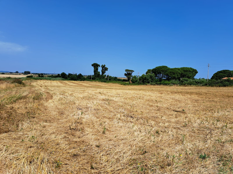 Tipologia Immobile: terreno agricolo Provincia: roma Comune: anguillara sabazia Località:  Indirizzo: Via Casal Sant'Angelo