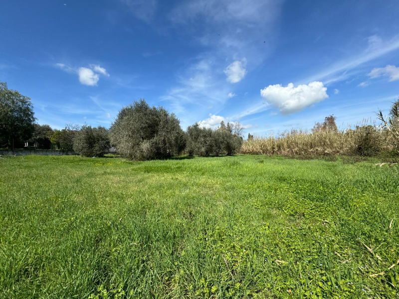 Tipologia Immobile: terreno agricolo Provincia: latina Comune: aprilia Località: europa Indirizzo: Via Messina