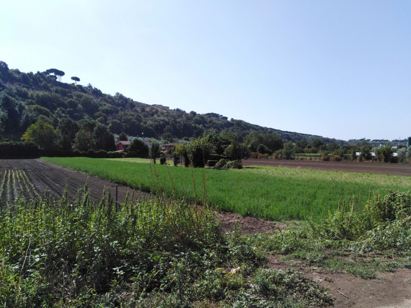 Tipologia Immobile: terreno agricolo Provincia: roma Comune: ariccia Località:  Indirizzo: Via della Moletta