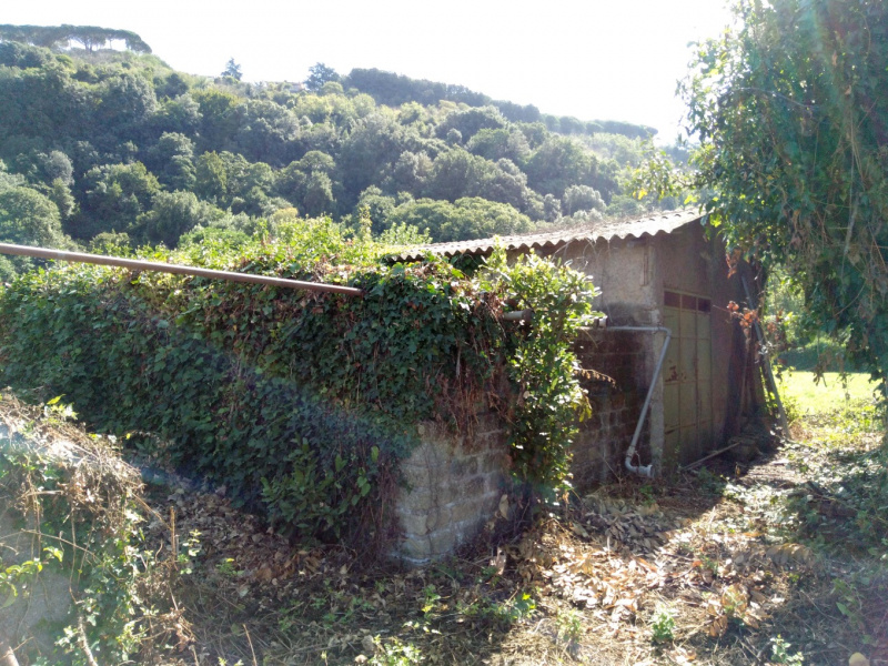 Tipologia Immobile: terreno agricolo Provincia: roma Comune: ariccia Località:  Indirizzo: Via della Moletta