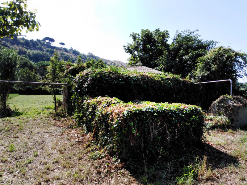 Tipologia Immobile: terreno agricolo Provincia: roma Comune: ariccia Località:  Indirizzo: Via della Moletta