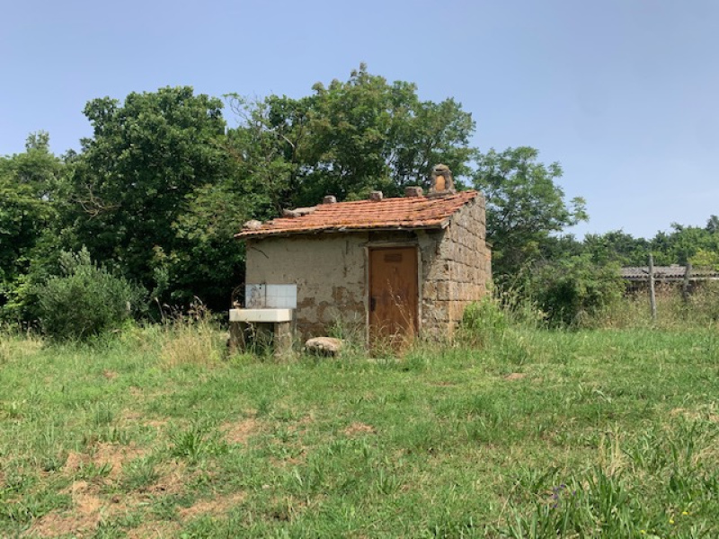 Tipologia Immobile: terreno agricolo Provincia: roma Comune: canale monterano Località:  Indirizzo: Via Poggio Lupino