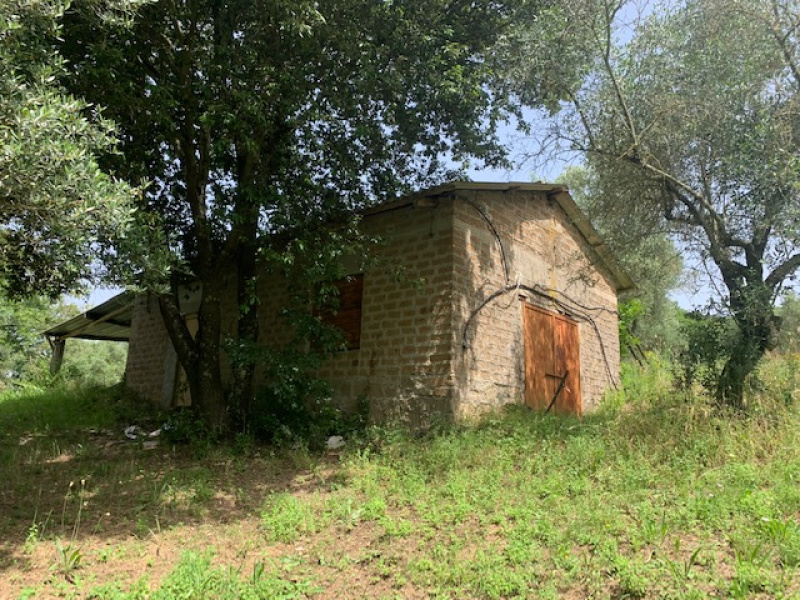 Tipologia Immobile: terreno agricolo Provincia: roma Comune: canale monterano Località:  Indirizzo: Via Poggio Lupino