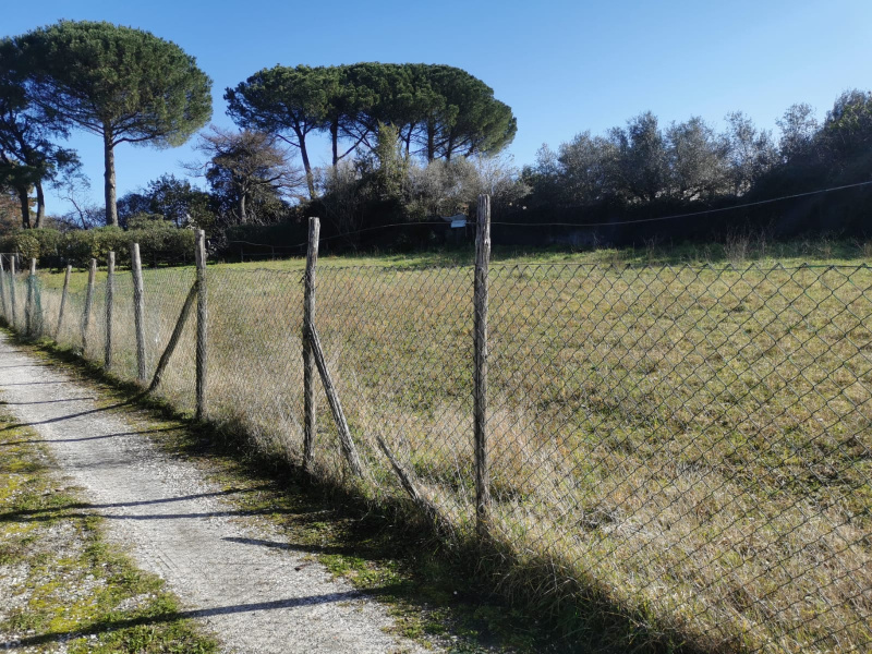 Tipologia Immobile: terreno agricolo Provincia: roma Comune: frascati Località: macchia dello sterparo Indirizzo: Via Casal di Mario