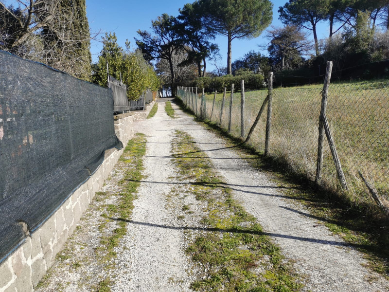 Tipologia Immobile: terreno agricolo Provincia: roma Comune: frascati Località: macchia dello sterparo Indirizzo: Via Casal di Mario