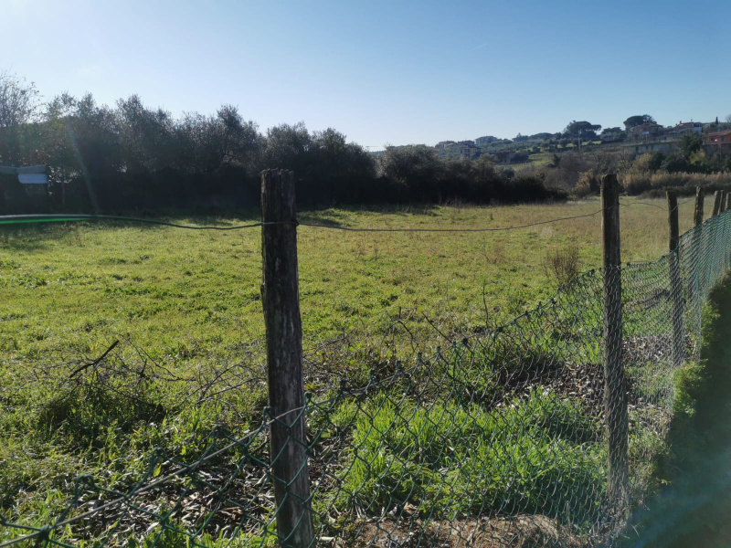 Tipologia Immobile: terreno agricolo Provincia: roma Comune: frascati Località: macchia dello sterparo Indirizzo: Via Casal di Mario