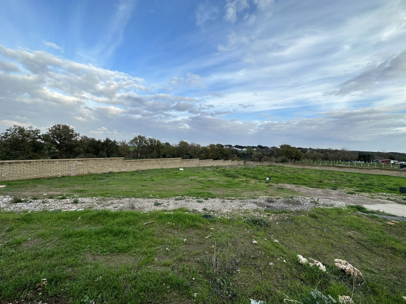 Tipologia Immobile: terreno agricolo Provincia: roma Comune: roma Località: castel di guido Indirizzo: Via Antonio Neviani