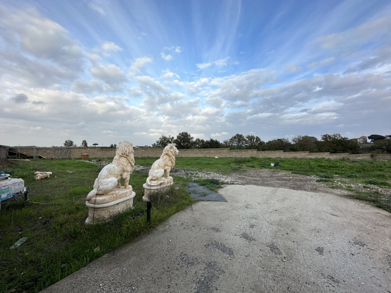 Tipologia Immobile: terreno agricolo Provincia: roma Comune: roma Località: castel di guido Indirizzo: Via Antonio Neviani