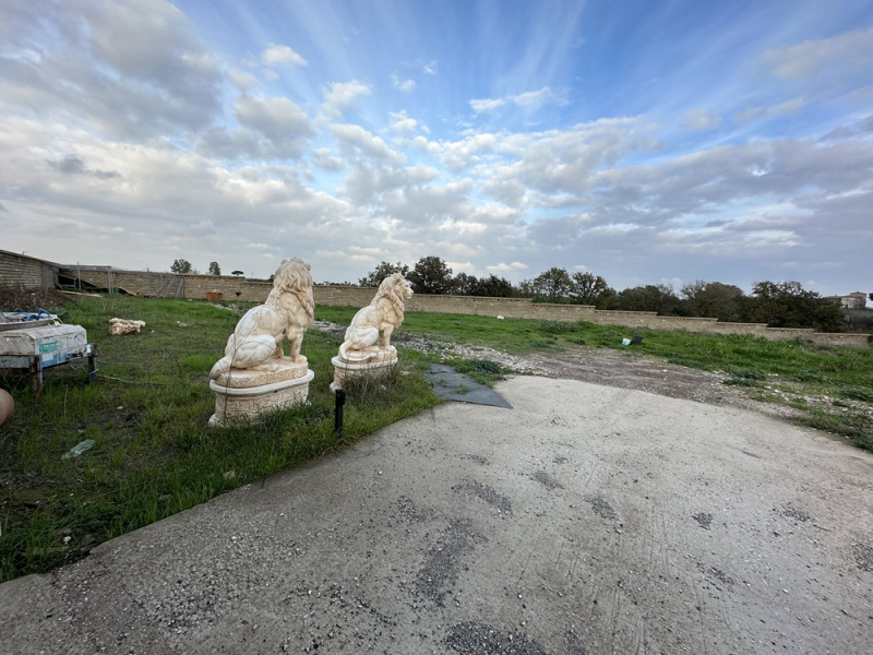 Tipologia Immobile: terreno agricolo Provincia: roma Comune: roma Località: castel di guido Indirizzo: Via Antonio Neviani