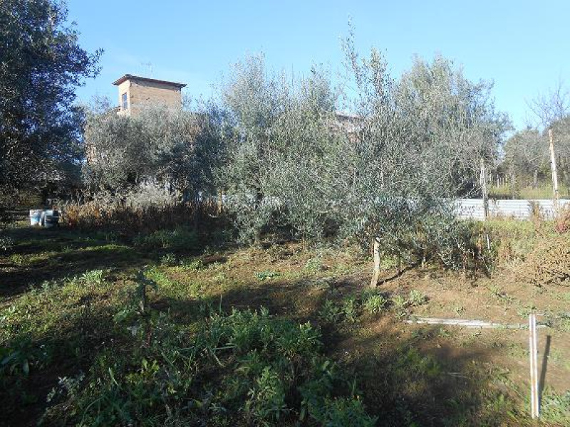 Tipologia Immobile: terreno agricolo Provincia: roma Comune: san cesareo Località:  Indirizzo: