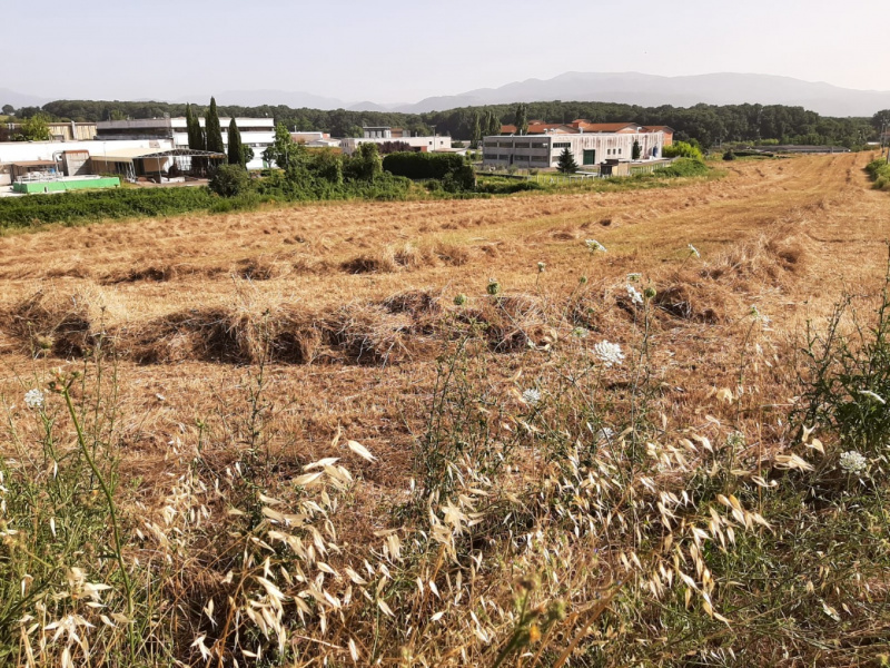 Tipologia Immobile: terreno edificabile Provincia: frosinone Comune: paliano Località:  Indirizzo: