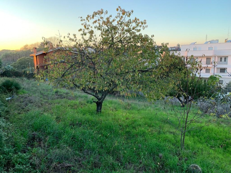 Tipologia Immobile: terreno edificabile Provincia: roma Comune: roma Località: labaro - prima porta Indirizzo: Via Parre