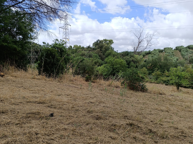 Tipologia Immobile: terreno agricolo Provincia: roma Comune: ardea Località: villaggio ardeatino Indirizzo: Via Rocca Priora