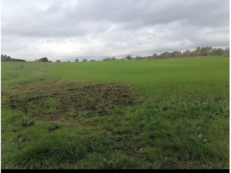 Tipologia Immobile: terreno agricolo Provincia: roma Comune: bracciano Località: vigna di valle Indirizzo: Via Braccianese Claudia