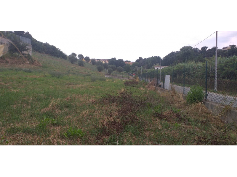 Tipologia Immobile: terreno agricolo Provincia: roma Comune: fonte nuova Località: tor lupara Indirizzo: Via Salvatoretto