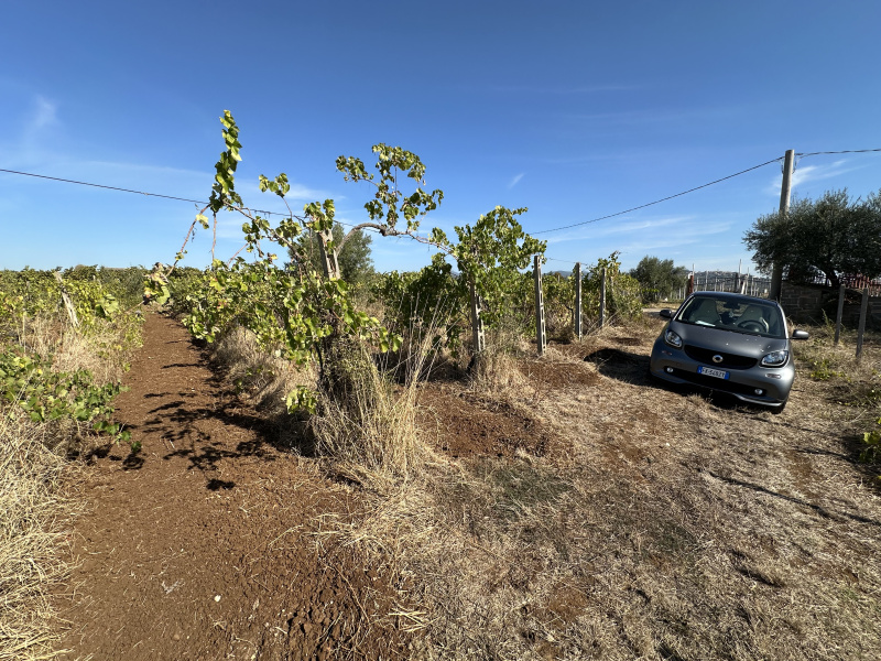 Tipologia Immobile: terreno agricolo Provincia: roma Comune: lanuvio Località:  Indirizzo: Via Scassati