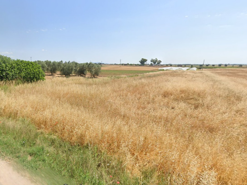 Tipologia Immobile: terreno agricolo Provincia: viterbo Comune: montalto di castro Località: paese Indirizzo: Strada Querciolare