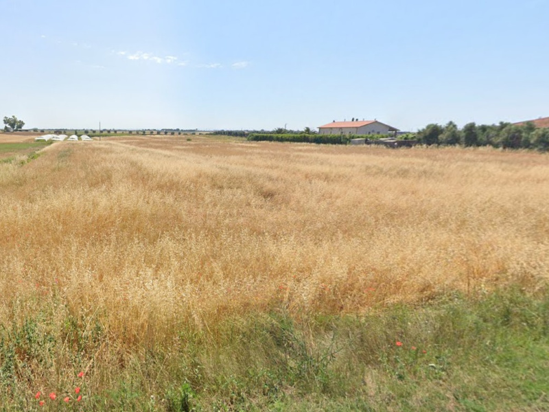 Tipologia Immobile: terreno agricolo Provincia: viterbo Comune: montalto di castro Località: paese Indirizzo: Strada Querciolare