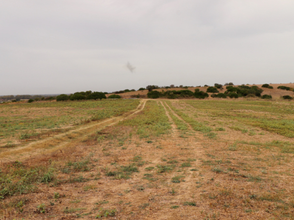 Tipologia Immobile: terreno agricolo Provincia: roma Comune: roma Località: muratella Indirizzo: Via di Monte Carnevale