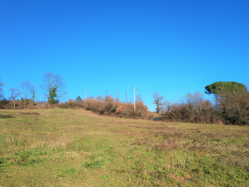 Tipologia Immobile: terreno edificabile Provincia: roma Comune: manziana Località:  Indirizzo: Via degli Scaloni