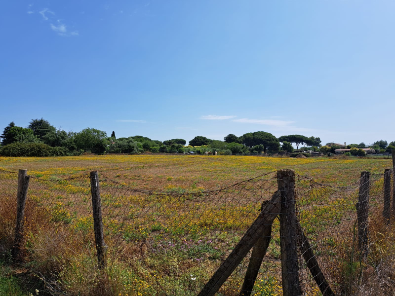 Tipologia Immobile: terreno agricolo Provincia: roma Comune: anguillara sabazia Località:  Indirizzo: Via Casal Sant'Angelo