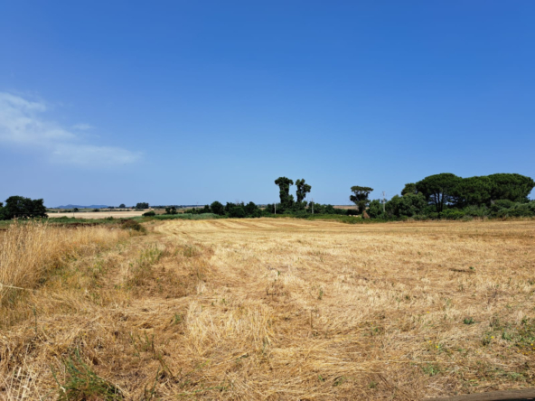 Tipologia Immobile: terreno agricolo Provincia: roma Comune: anguillara sabazia Località:  Indirizzo: Via Casal Sant'Angelo