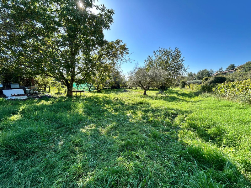 Tipologia Immobile: terreno agricolo Provincia: roma Comune: ariccia Località:  Indirizzo: Via delle Grotte