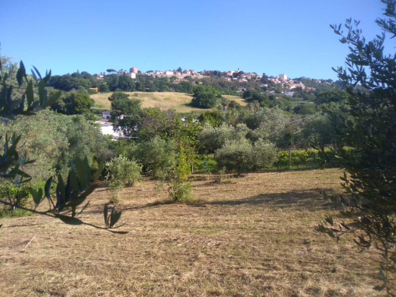 Tipologia Immobile: terreno agricolo Provincia: roma Comune: lanuvio Località:  Indirizzo: Via del Basso