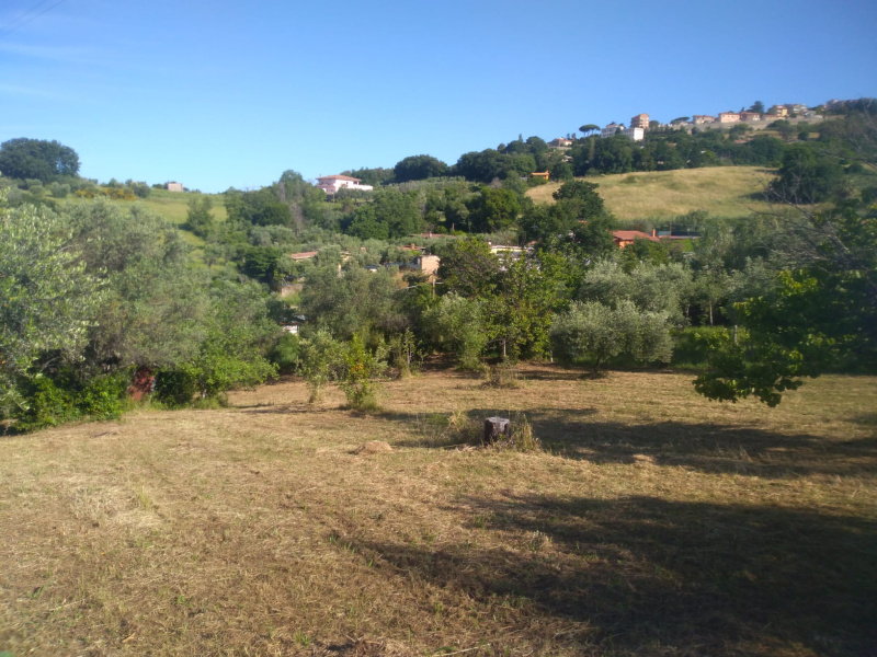 Tipologia Immobile: terreno agricolo Provincia: roma Comune: lanuvio Località:  Indirizzo: Via del Basso