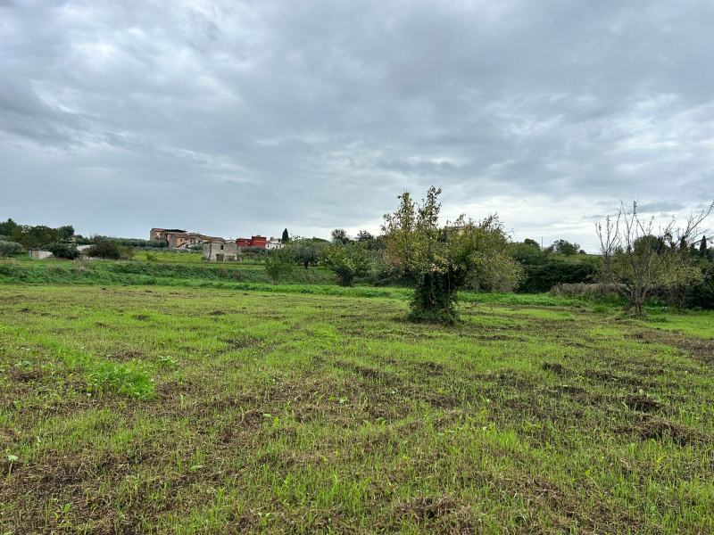 Tipologia Immobile: terreno agricolo Provincia: roma Comune: marino Località: castelluccia Indirizzo: Marino Laziale