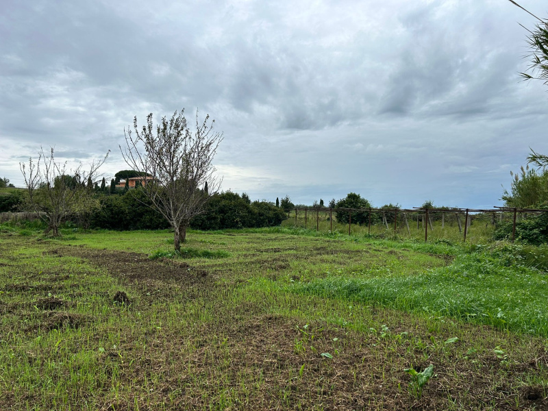 Tipologia Immobile: terreno agricolo Provincia: roma Comune: marino Località: castelluccia Indirizzo: Marino Laziale